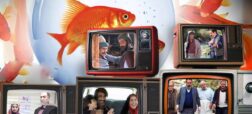 آخرین خبرها از سریال‌های نورزوی؛ از فصل سوم «جومونگ» تا سریال جدید مسعود ده‌نمکی