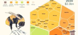 کدام کشورها بزرگترین صادر کنندگان عسل در جهان هستند؟