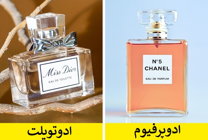 چیزهایی که همیشه آن ها را باهم اشتباه می گیریم