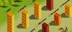کدام کشورها از سال ۲۰۰۱ تا ۲۰۲۱ جنگل بیشتری از دست داده‌اند؟ + اینفوگرافیک