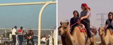 مجروح شدن چند شترسوار زن در مسابقات شترسواری عربستان + ویدیو