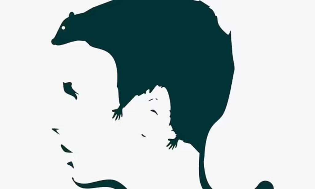 این تست خطای دید بزرگترین ترس شما را آشکار می‌کند!