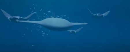 Manta Ray؛ ربات شکارچی جدید ارتش ایالات متحده به شکل سفره ماهی + ویدیو