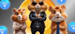 همستر کامبت چیست؟ راهنما و آموزش استخراج همستر کامبت